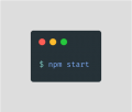 Npm-start.png